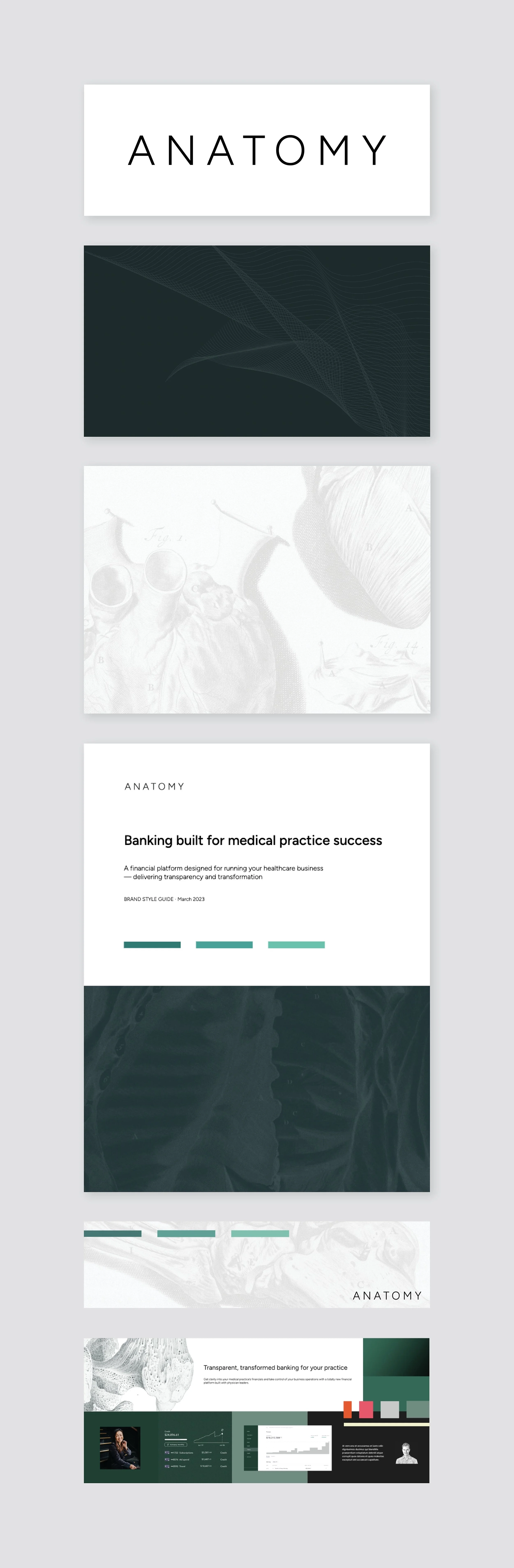 Anatomy Visual Design