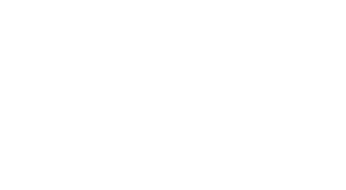 Pleio