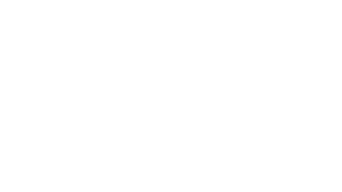 leaporbit